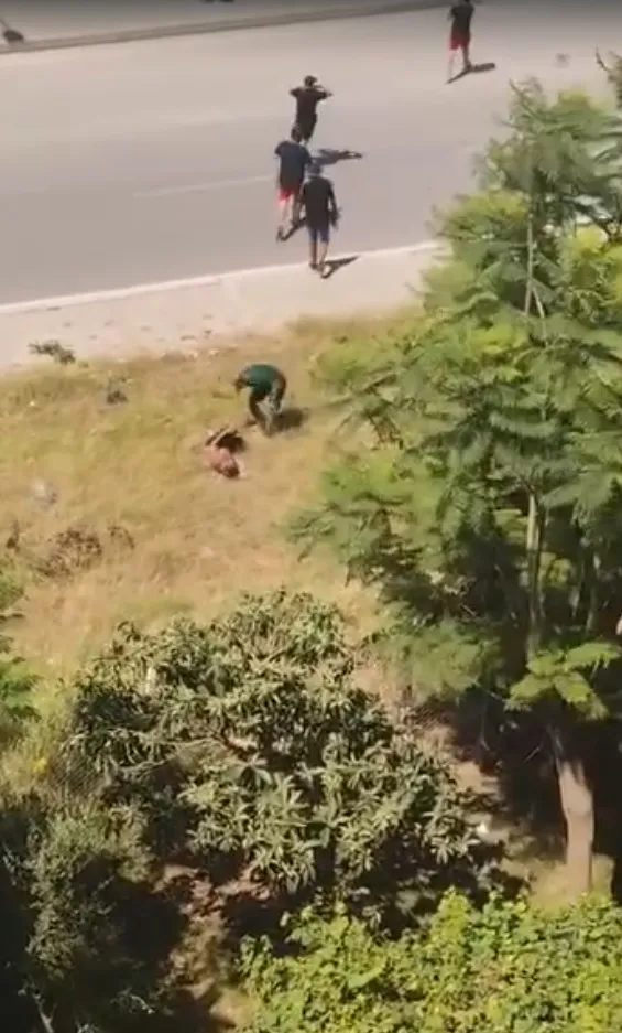 Adana'da babadan oğluna kanal kenarında şiddet