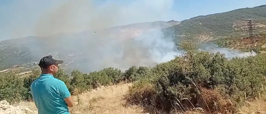 Nurdağı'nda zeytin bahçesinden sıçrayan alevler ormanı küle çevirdi