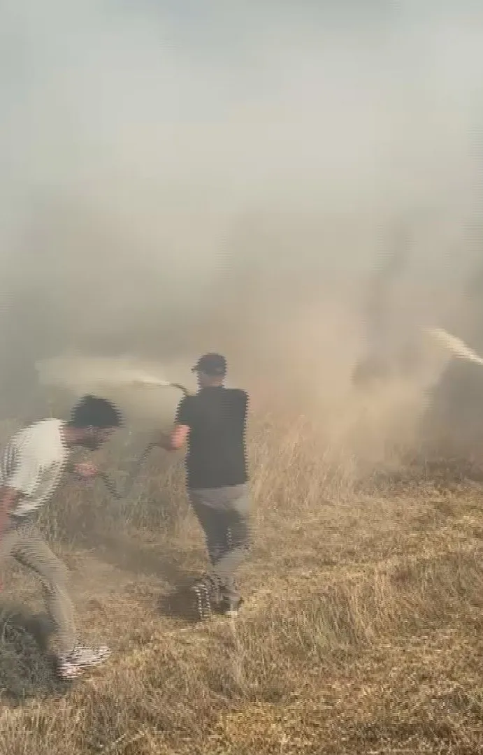 Kağıthane'de otluk alandaki yangın korkuttu