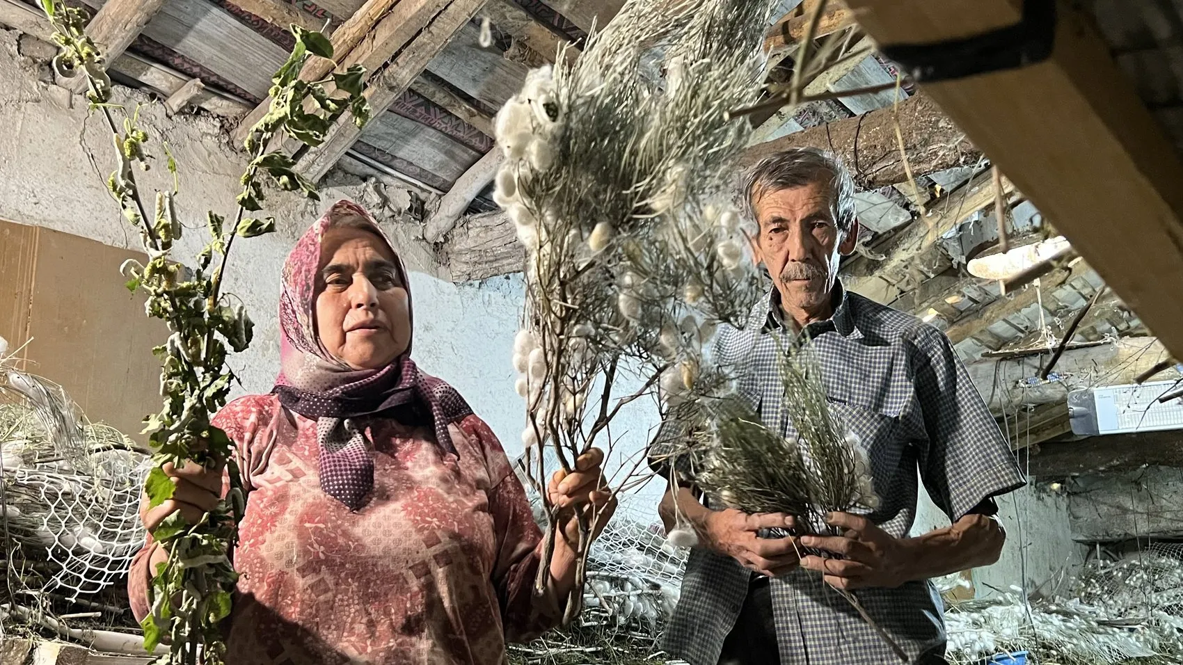 Nallıhan'da bir asırlık gelenekle gelen kazanç
