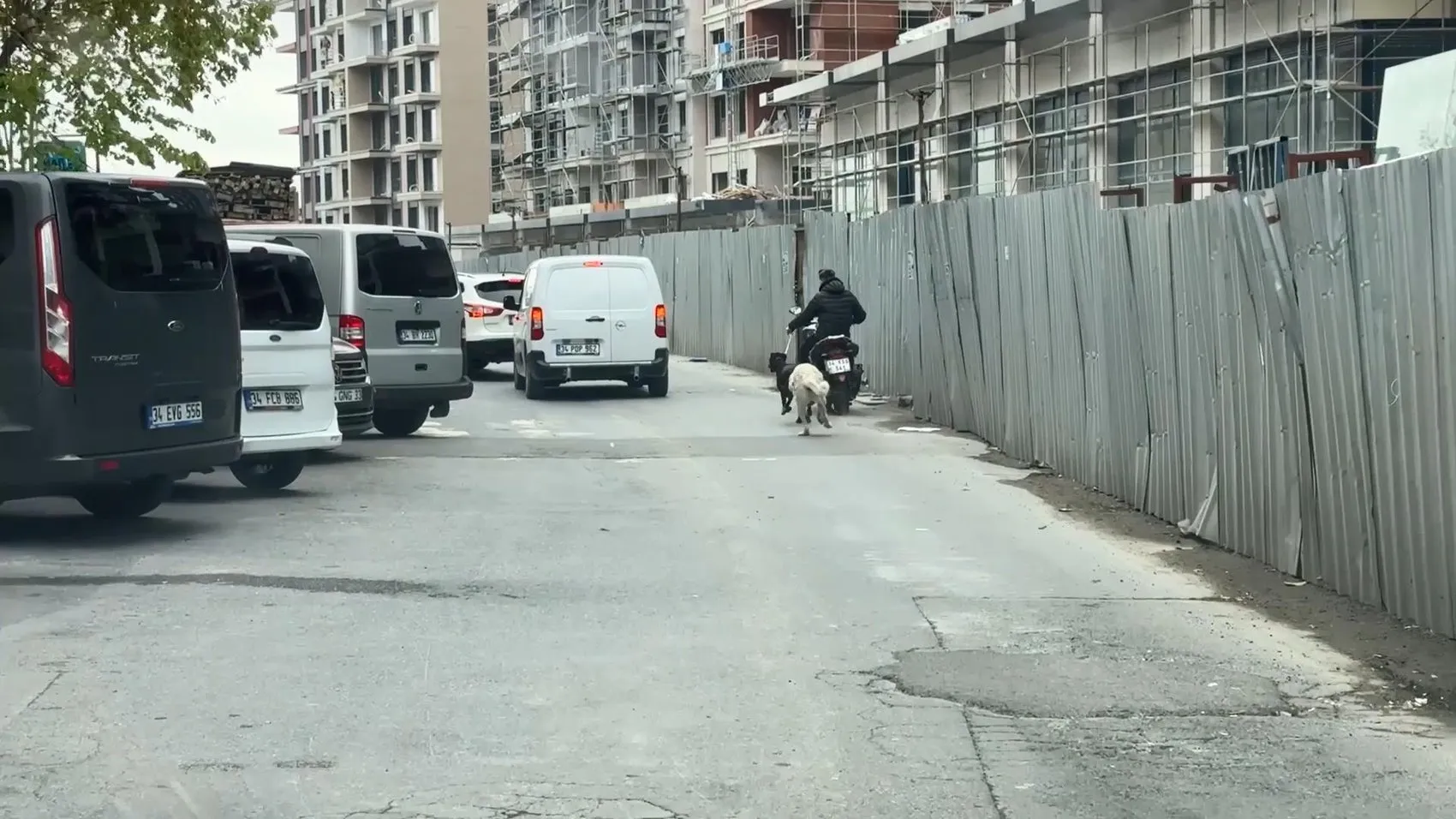 Seyrantepe’de motosikletle köpeğini koşturan sürücüye para cezası verildi