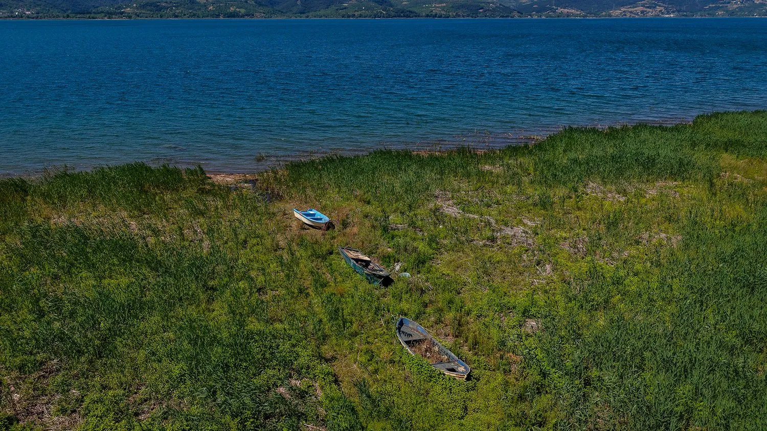 Sapanca Gölü kendi kendini iyileştirmeye başladı