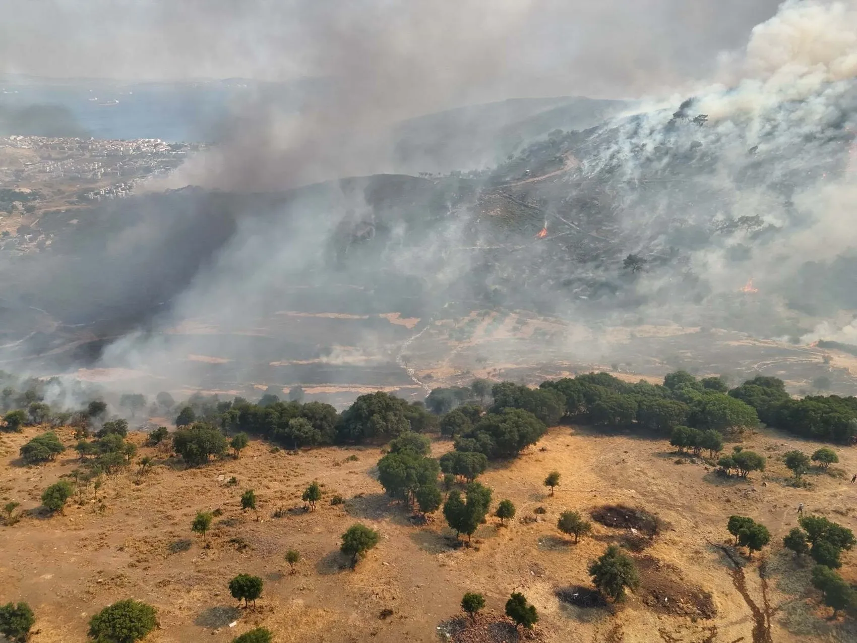 Dikili'de alevler evlerin kapısına dayandı