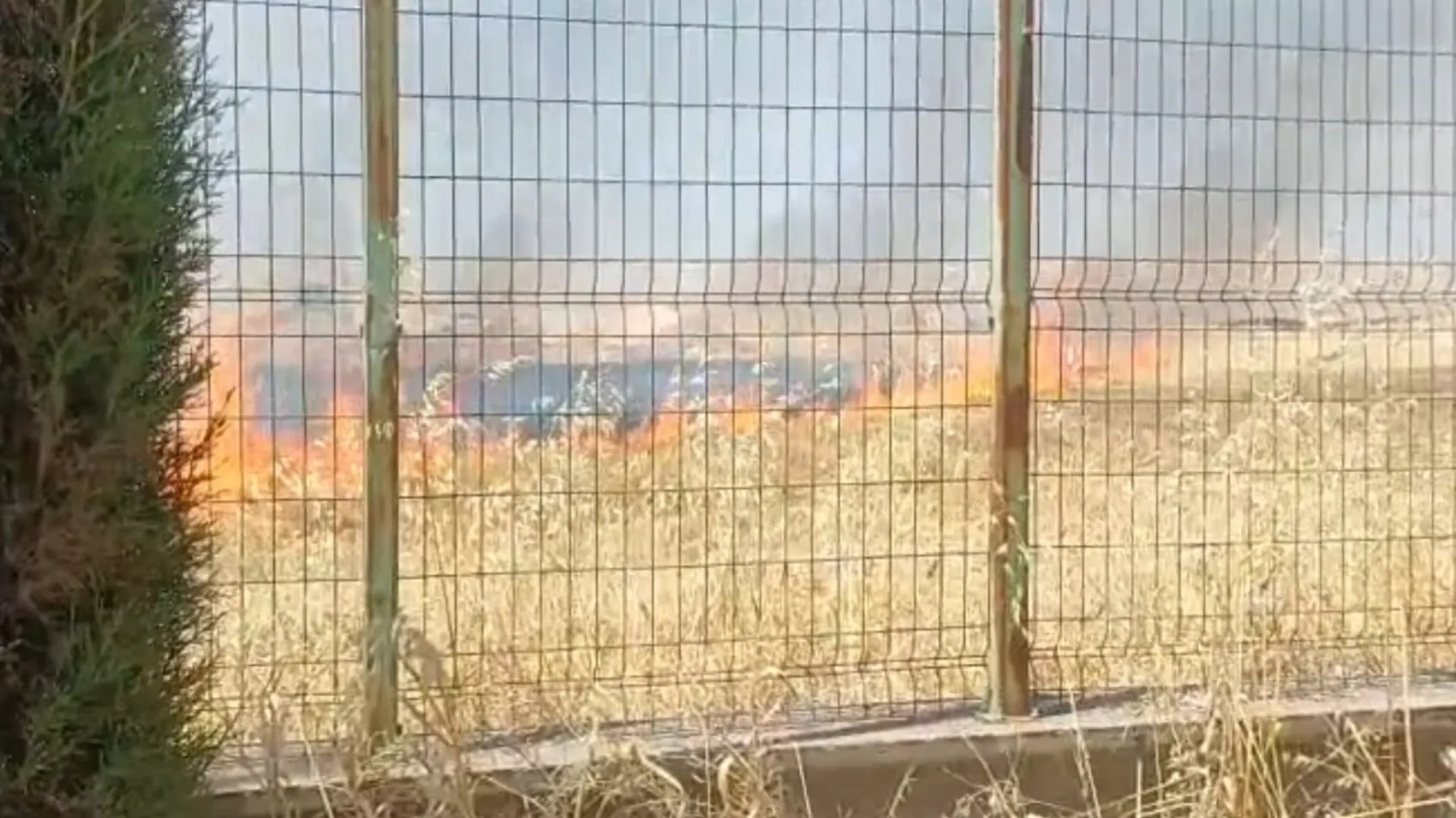 Şanlıurfa tarlalarında anız yangını alarmı