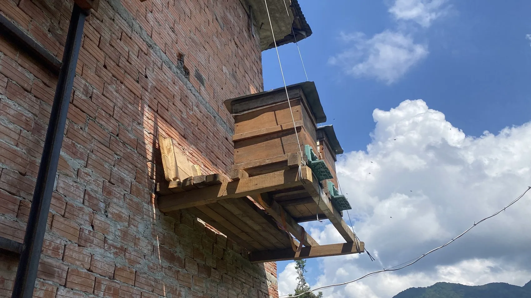Rize’de arıcılar ayı saldırısına karşı asansör sistemi kurdu