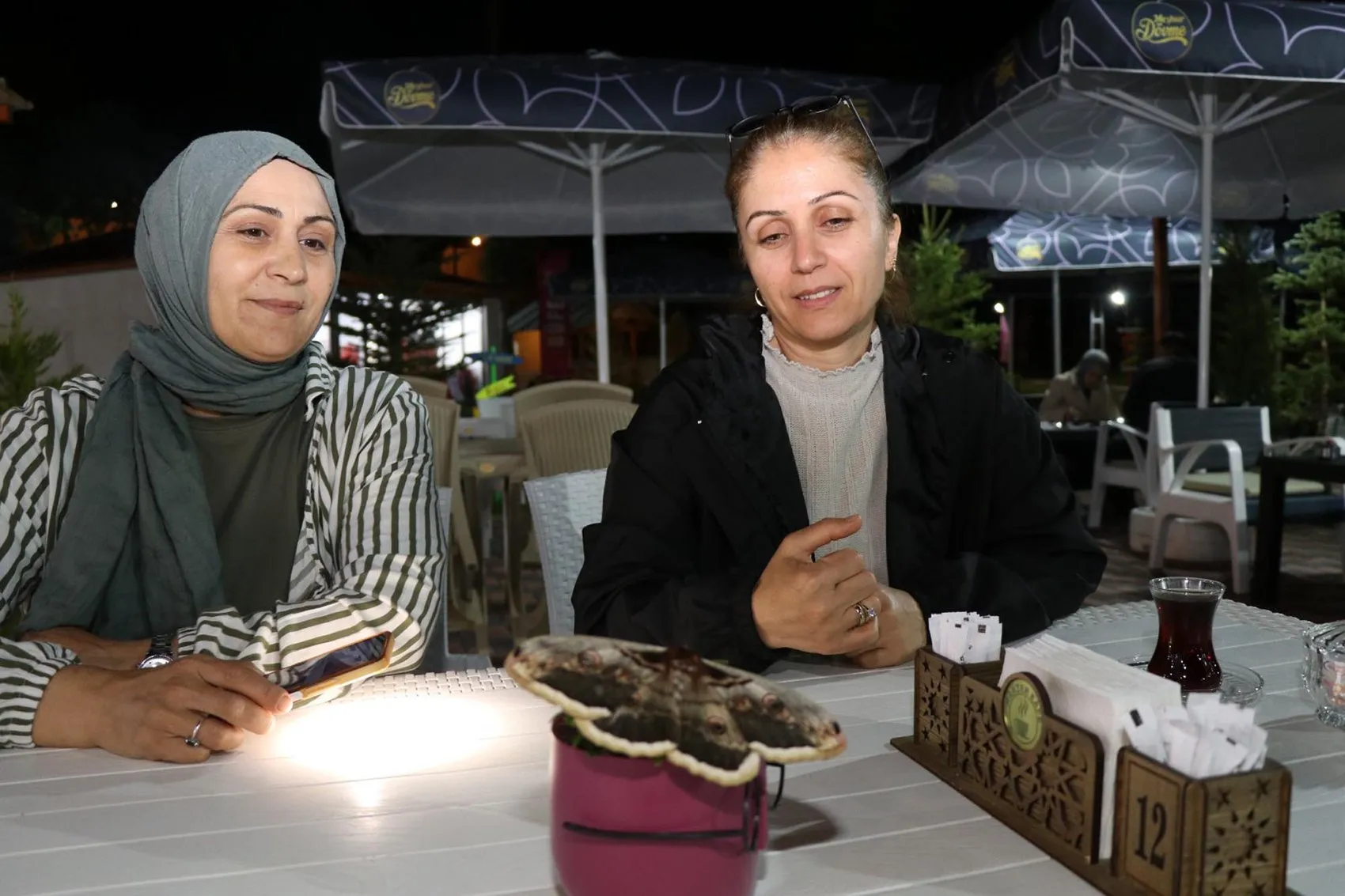 Erzurum Oltu'da tropikal sürpriz Baykuş kelebeği görüntülendi