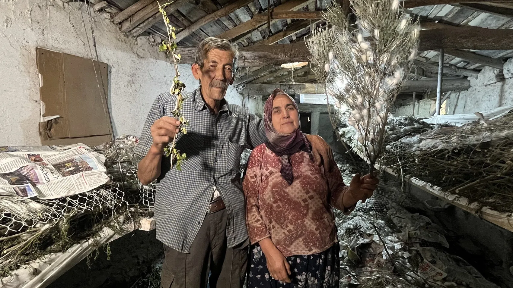 Nallıhan'da bir asırlık gelenekle gelen kazanç
