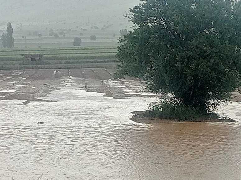 Kayseri'de dolu felaketi Binlerce dönüm tarım arazisi küle döndü