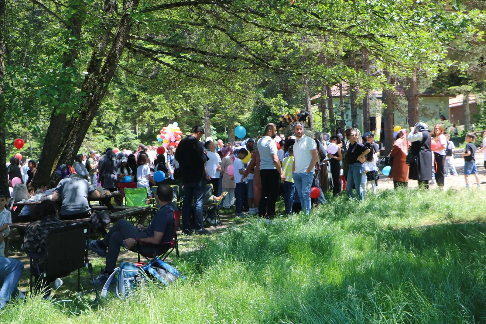 Bolu Gölcük Tabiat Parkı havadan görüntülendi
