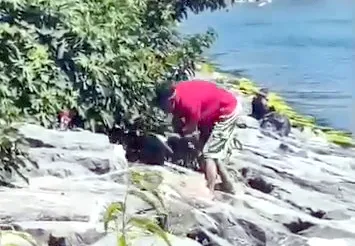 Avcılar sahilinde köpeğe şiddet anları kameraya yansıdı