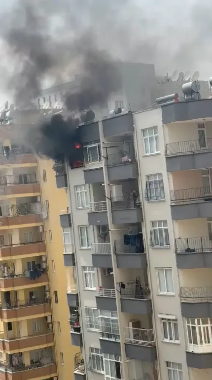 Adana'da yüksek katlı dairedeki yangında can dostumuz kurtarıldı