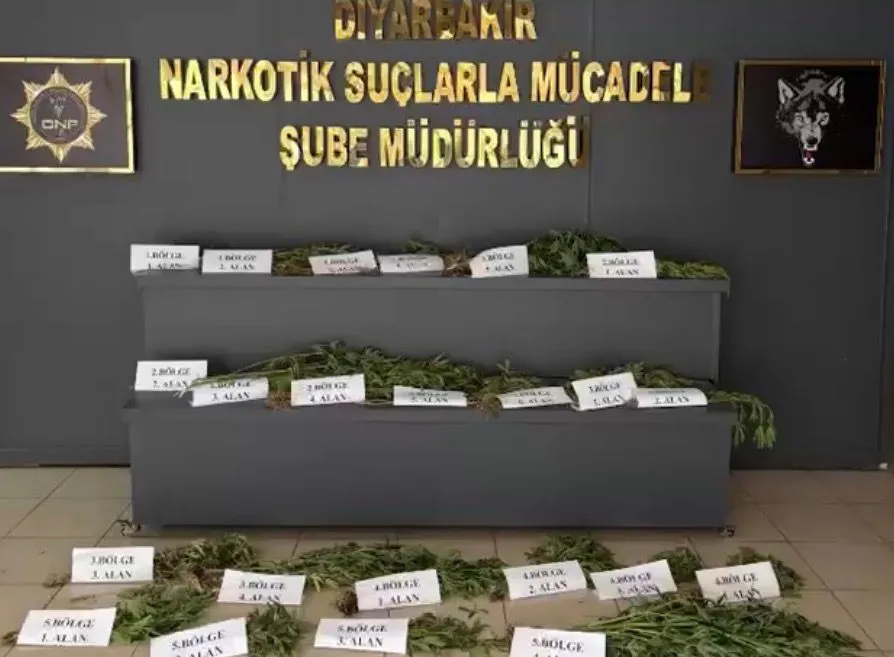 UNESCO mirasındaki Hevsel Bahçeleri'nde devasa kenevir operasyonu