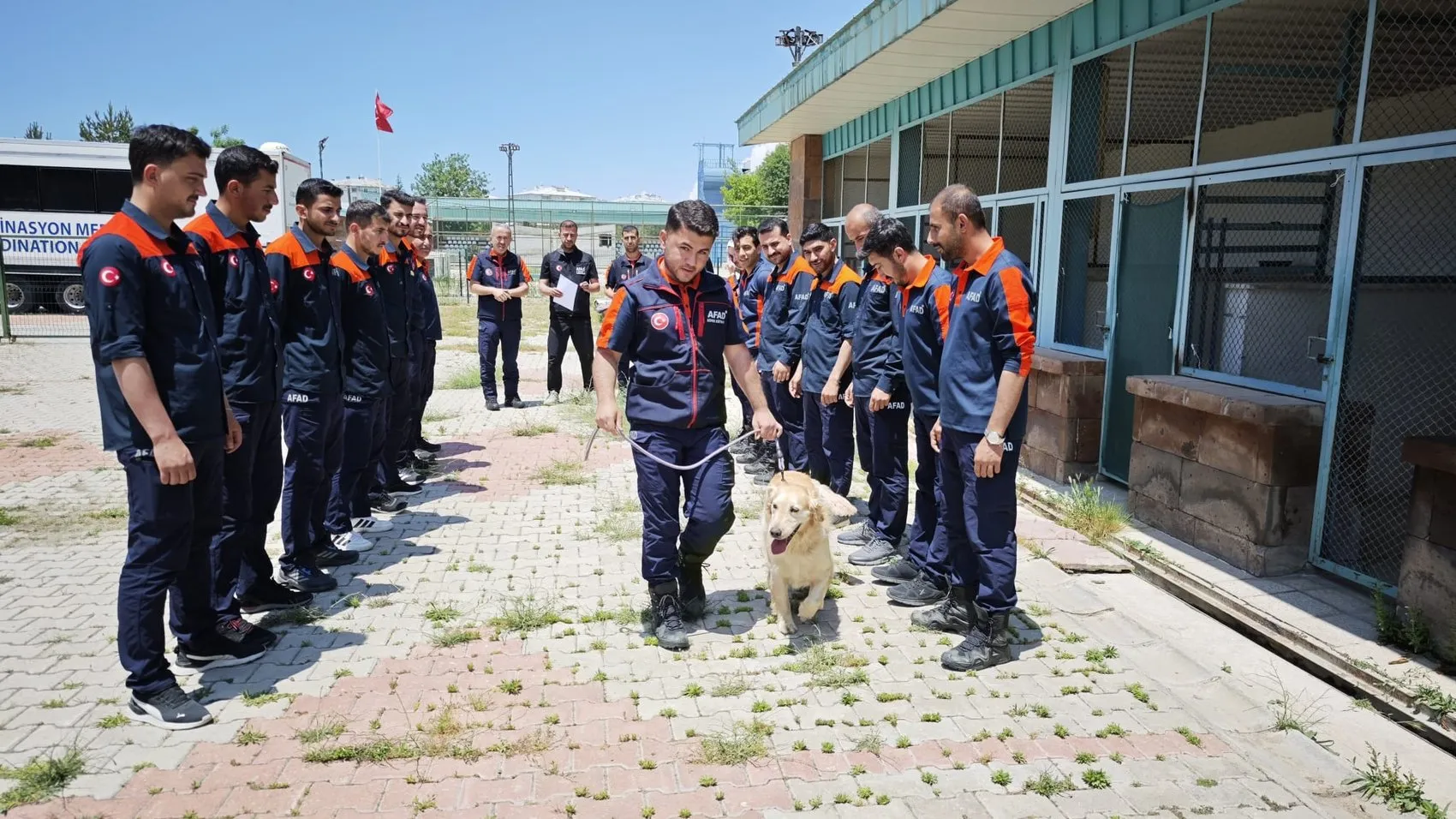 Emekliliği bekleyen Köpük sınavda gençlere taş çıkarttı