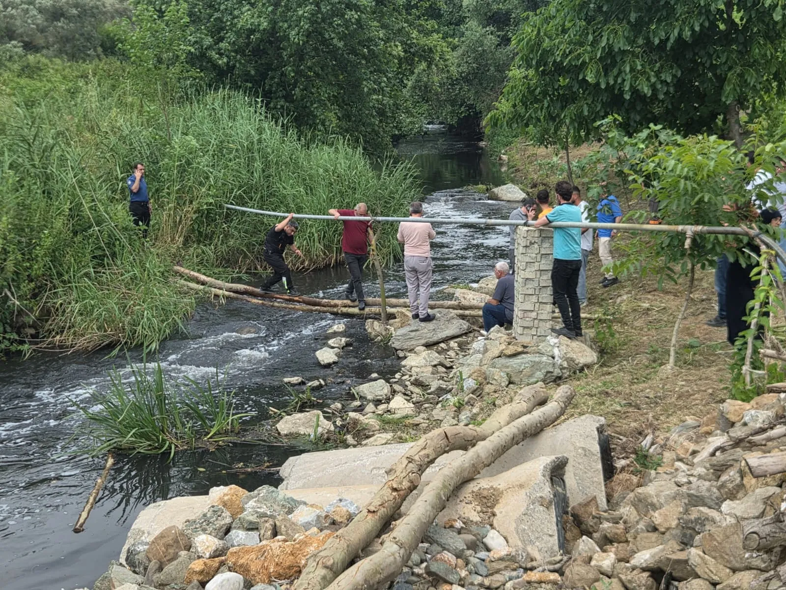 Bursa'da dut toplamaya çıkan yaşlı adamdan acı haber geldi