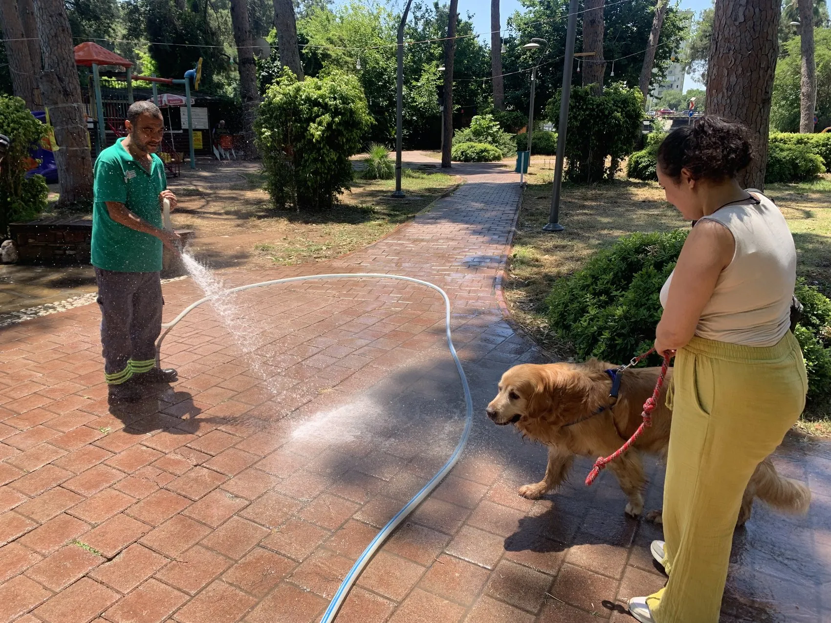 Adana sıcağında nehir kenarı mesaisi