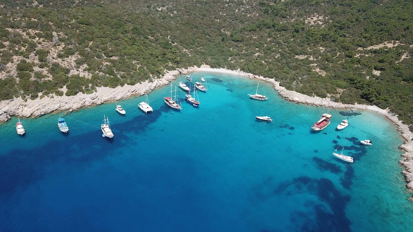 Bodrum koylarında tekne turizmi hareketlendi