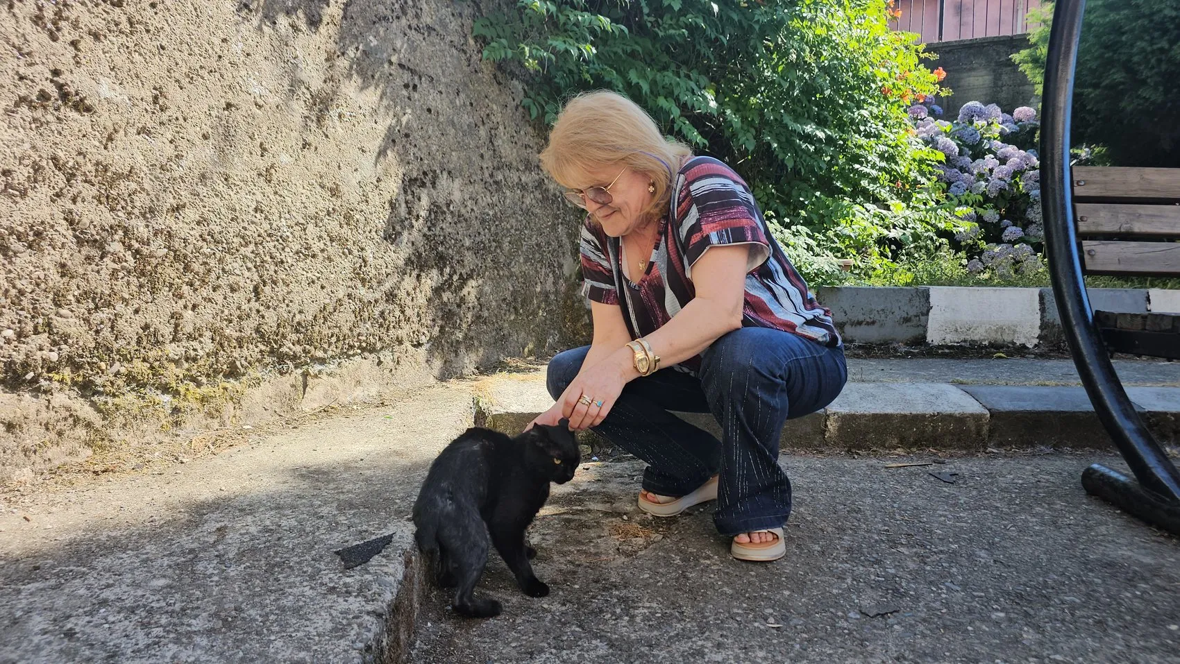 Zonguldak'ta öğretmenlerin örnek duyarlılığı Yaralı kediyi hayata döndürdüler
