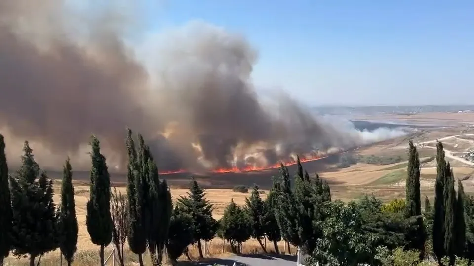 Büyükçekmece tarlalarında yangın paniği