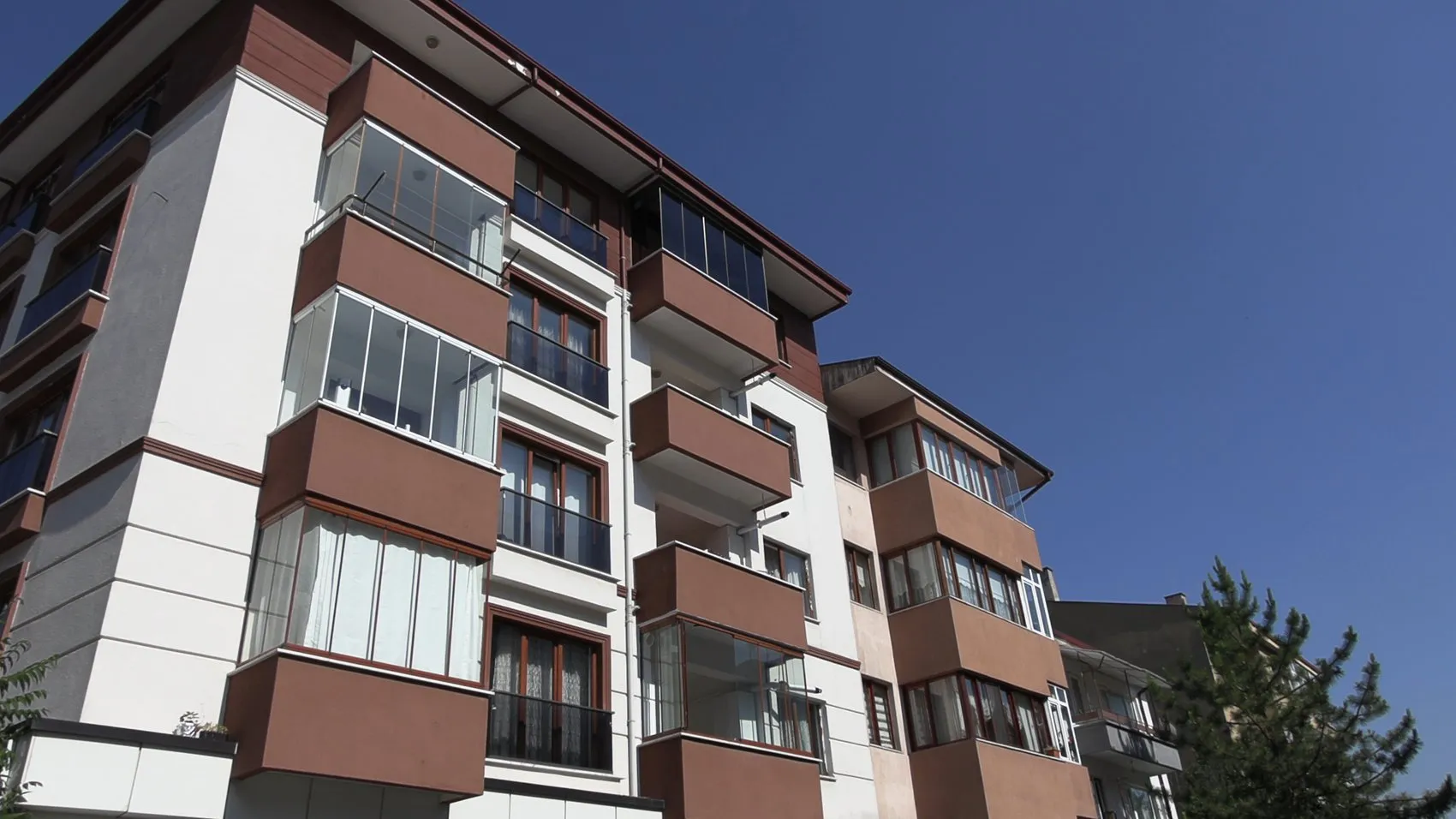 Bolu’da çöp eve dönen daireden 6 kedi kurtarıldı