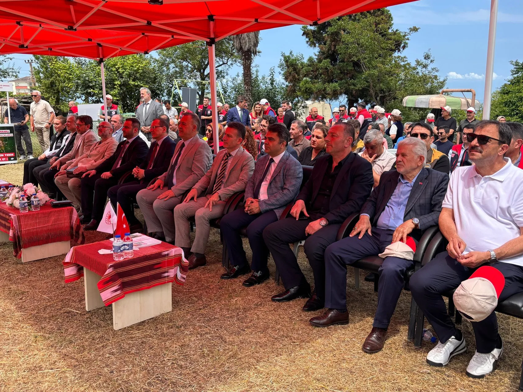 Fındığı kurtarmak için Trabzon bahçelerine samuray arıları bırakıldı
