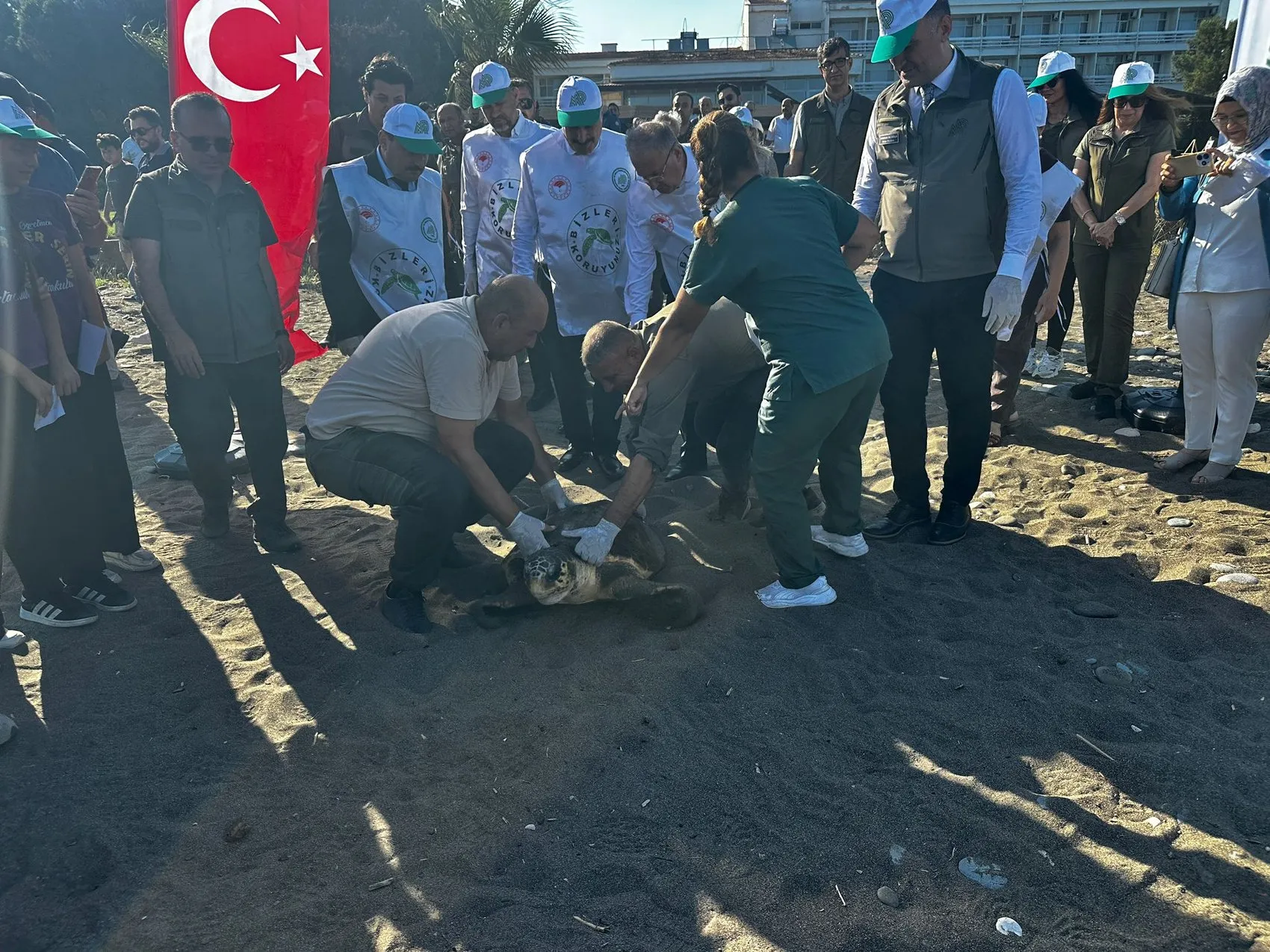 Mersin'de üç deniz kaplumbağası bir yıllık tedavinin ardından özgürlüğüne kavuştu