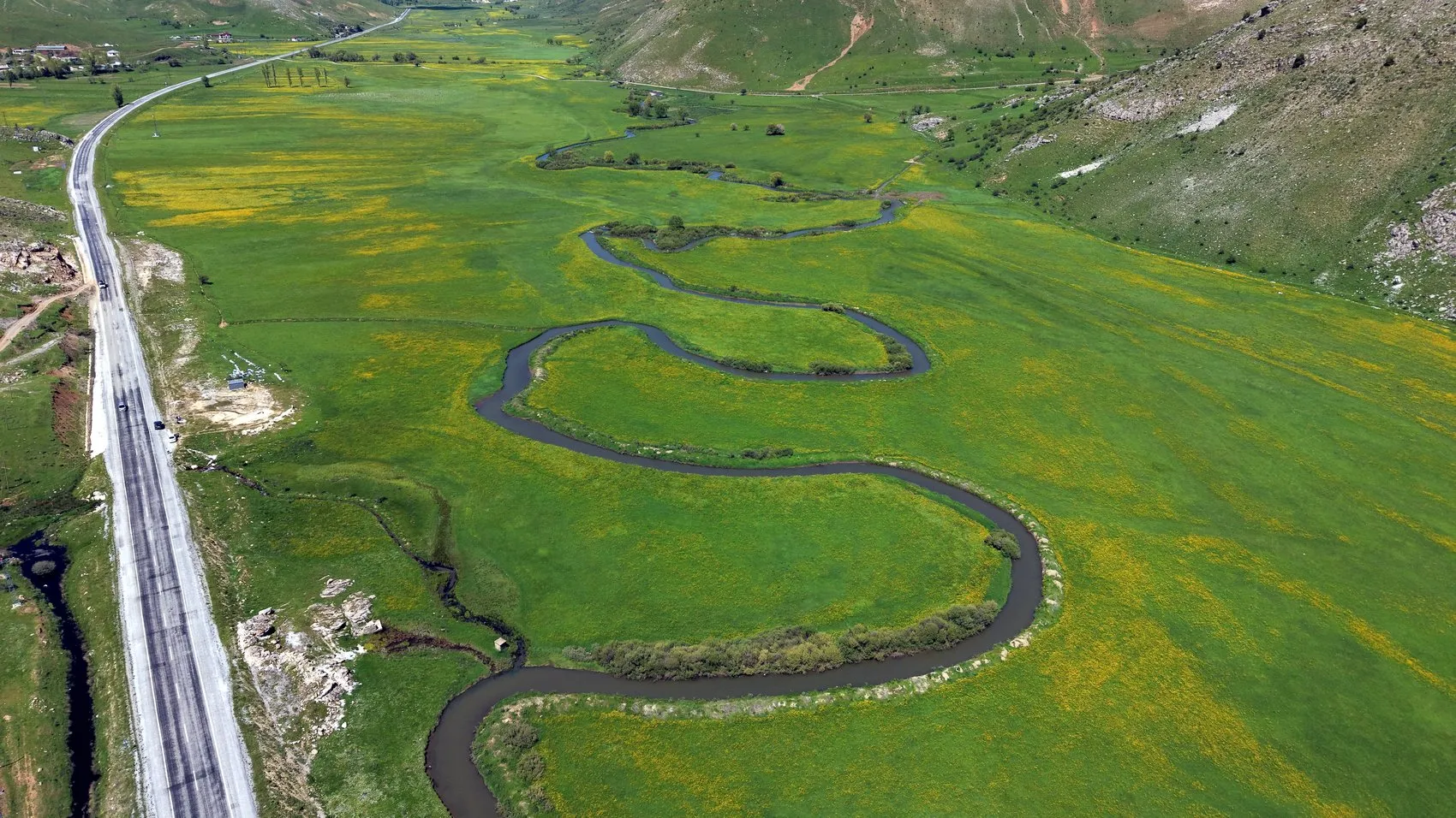 Bitlis’in saklı güzelliği sarı çiçeklerle renklendi