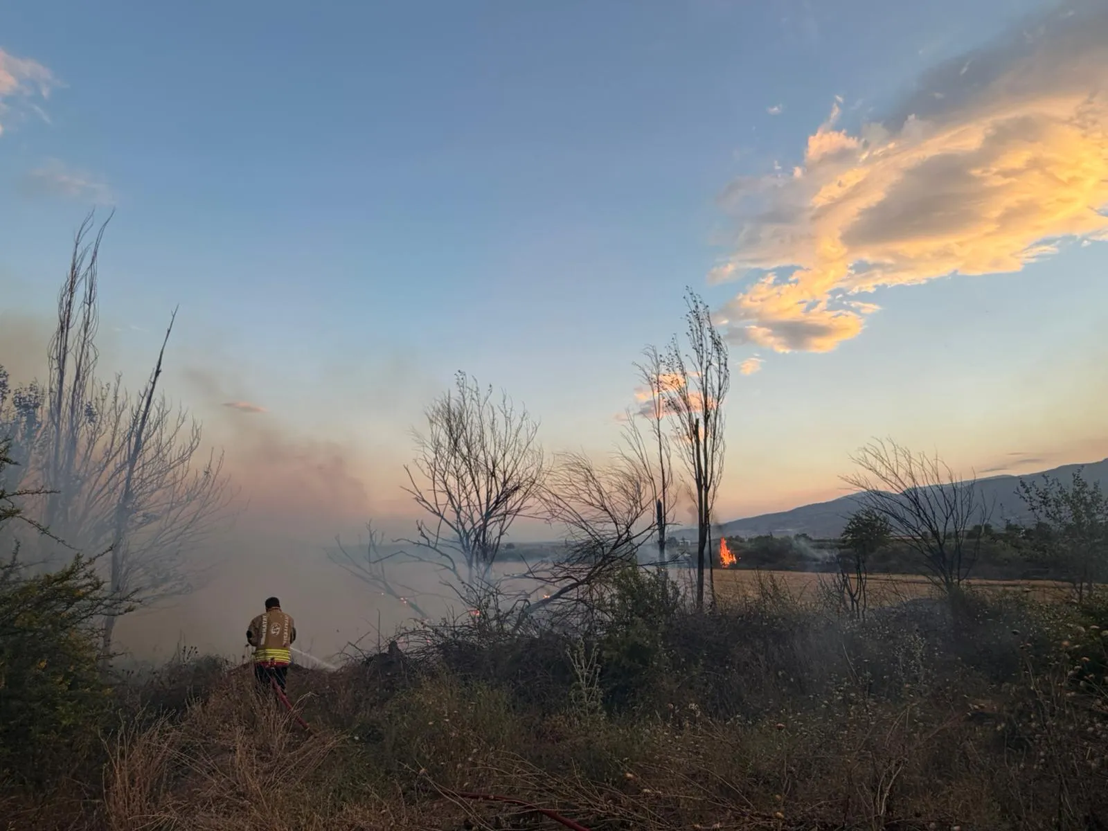 Hatay'da kontrolden çıkan anız yangını bahçeleri sardı