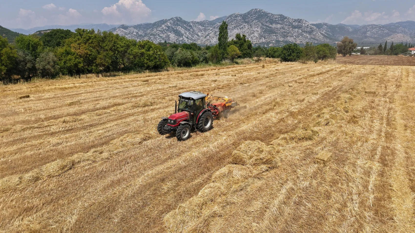 Antalya’nın renkli tarlalarında halıların güneşlenme mesaisi başlıyor