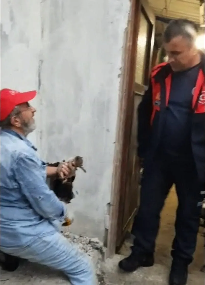 Amasya'da baca içine sıkışan kedi operasyonu