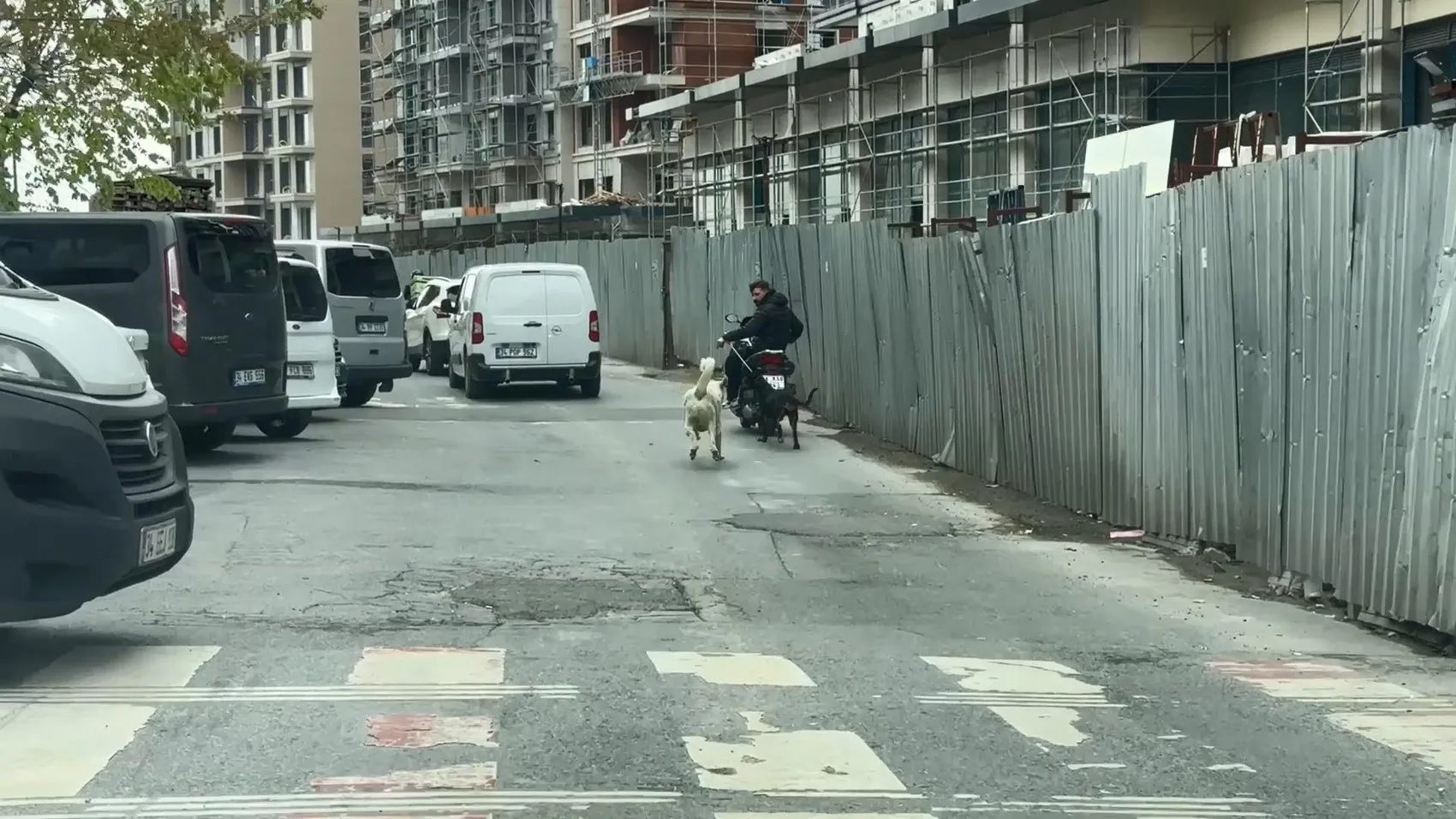 Seyrantepe’de motosikletle köpeğini koşturan sürücüye para cezası verildi