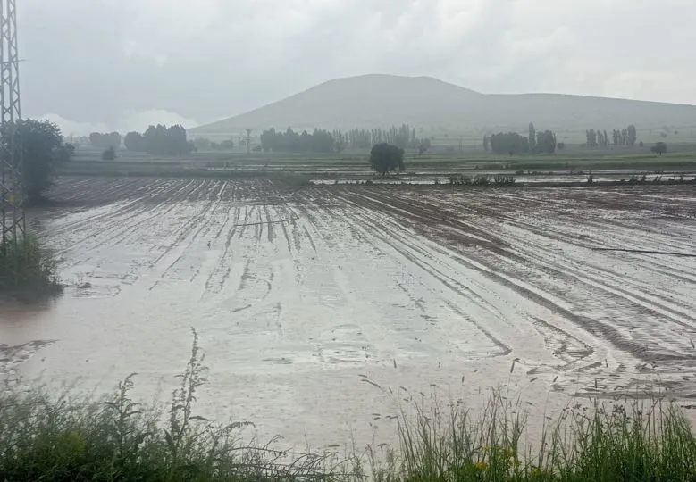 Kayseri'de dolu felaketi Binlerce dönüm tarım arazisi küle döndü