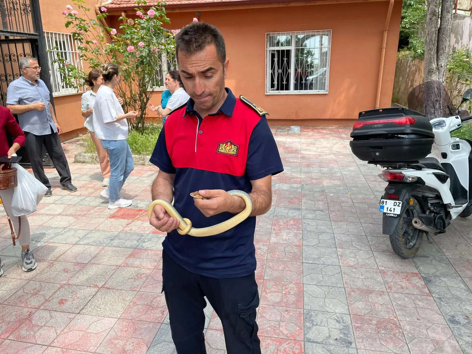 Sağlık ocağına giren yılan hastaları korkuttu