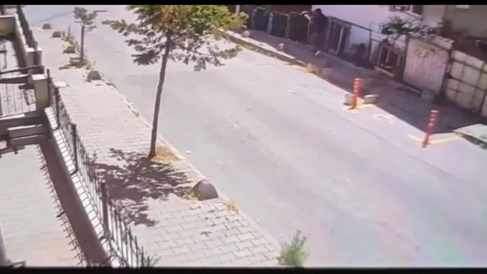 Kurye kılığında infaz İntikam cinayeti otogarda bitti