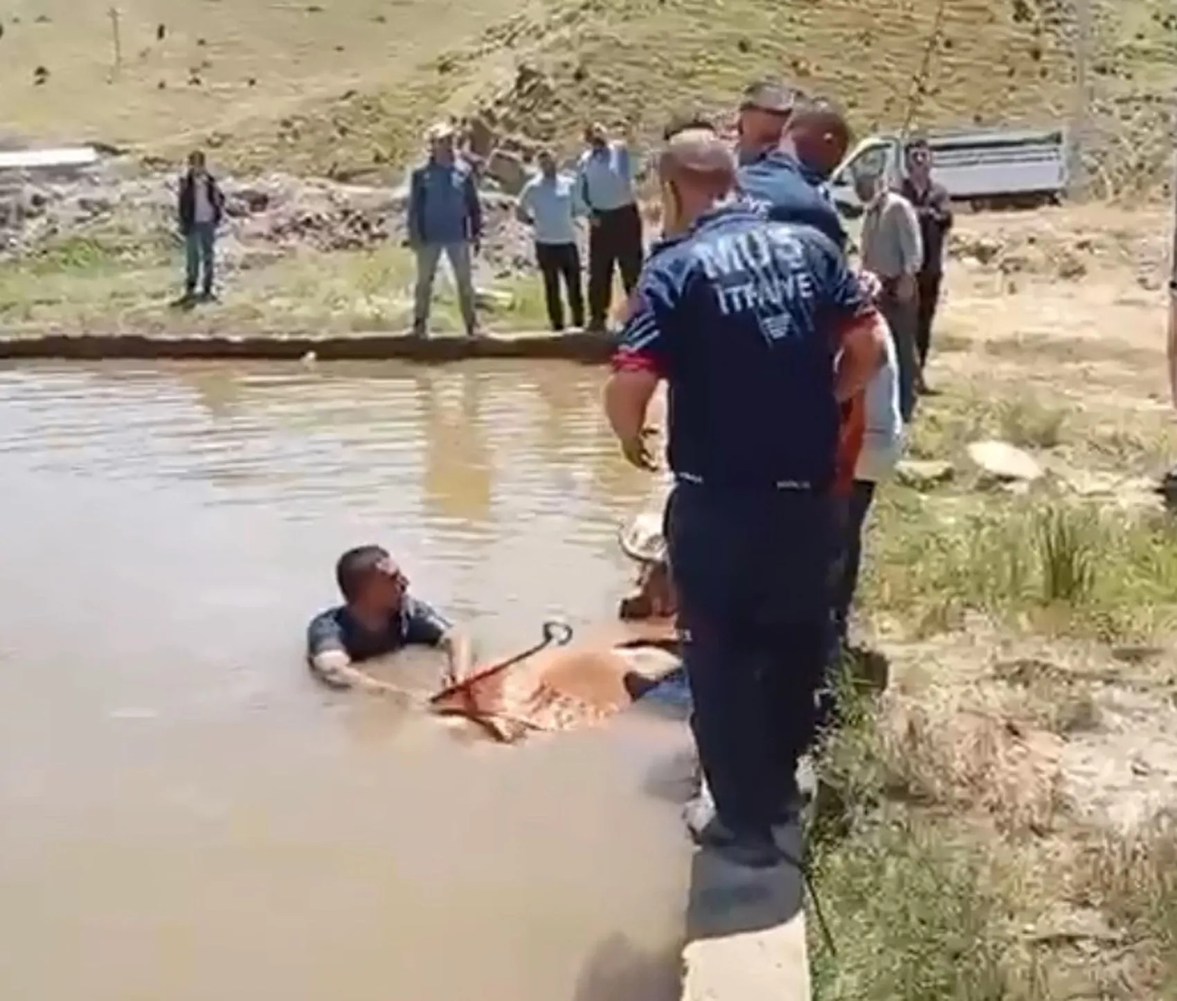 Muşta çamura saplanan inek itfaiye ekiplerince kurtarıldı