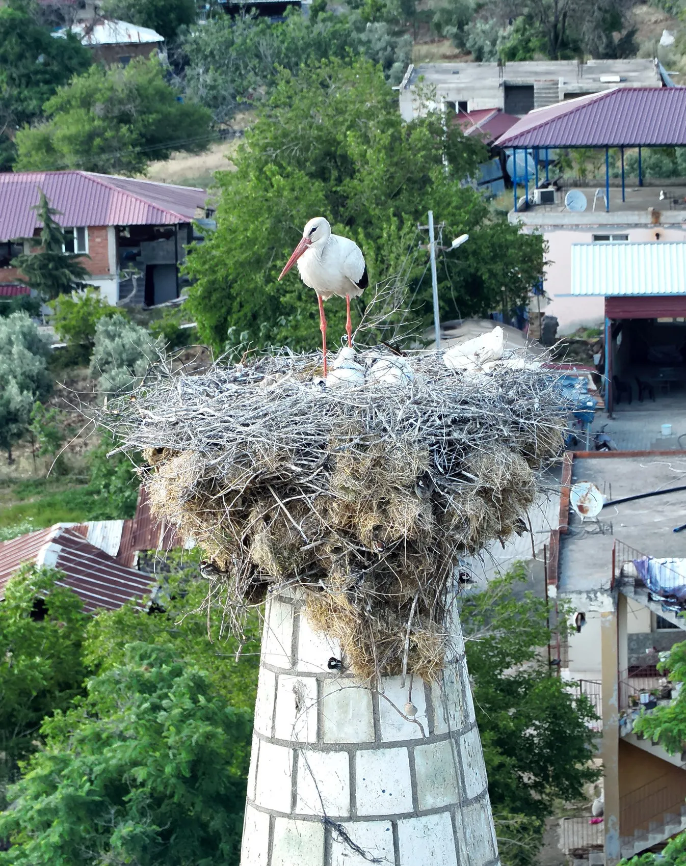 Gaziantep’teki depremzede minarenin yeni misafirleri belli oldu