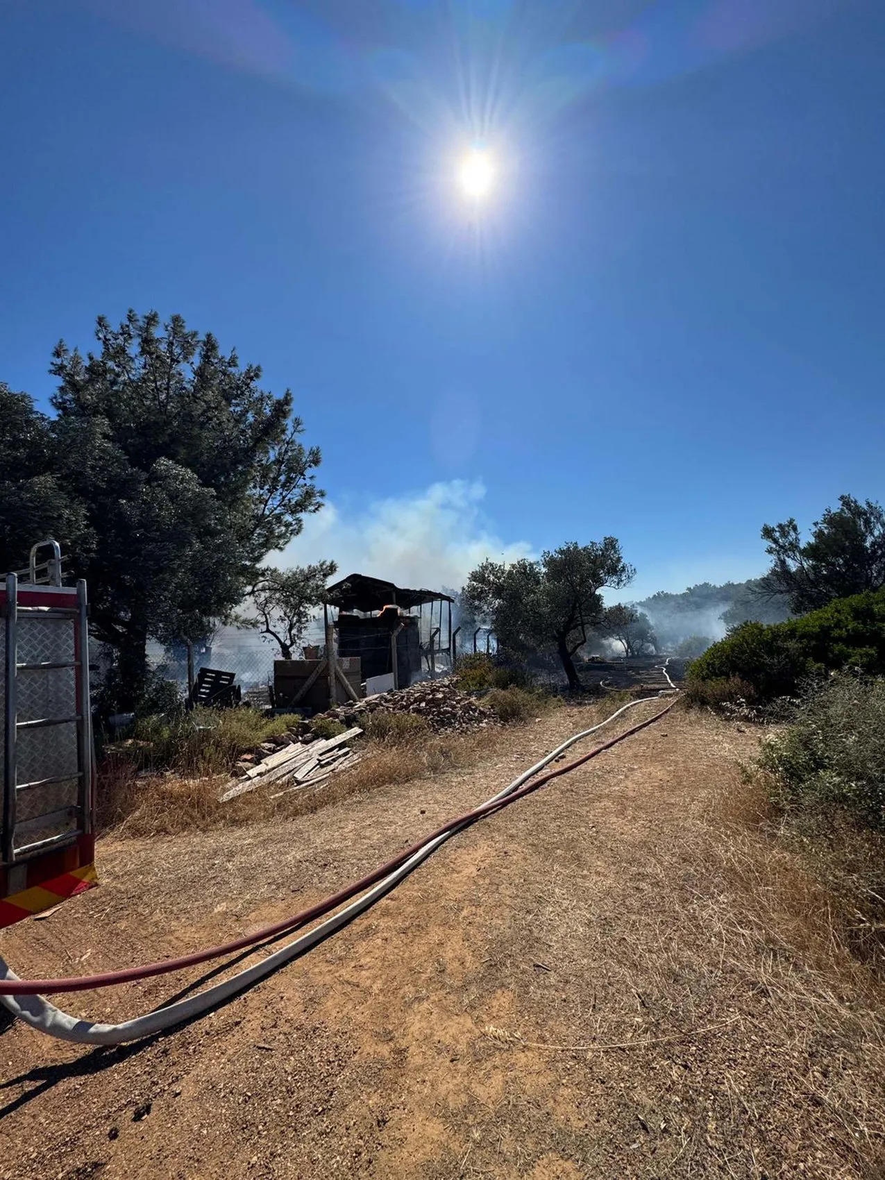 Cunda Adası’ndaki yangın zeytinlikleri küle çevirdi
