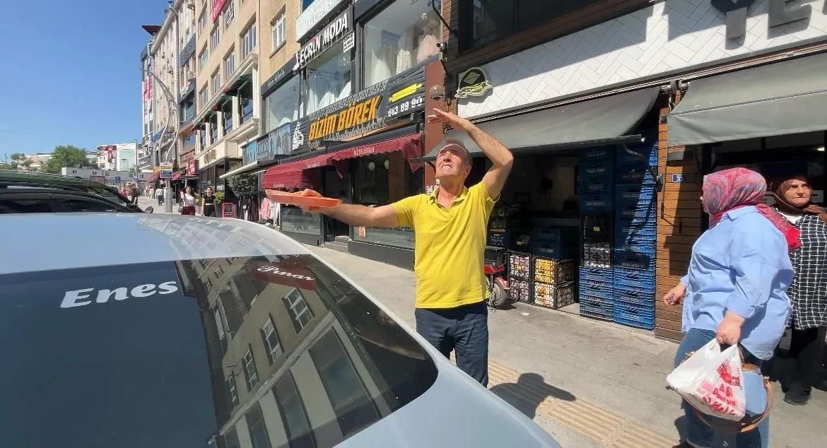 Gebze’deki kebapçının çatısından inen martı Pamuk mahalleli oldu