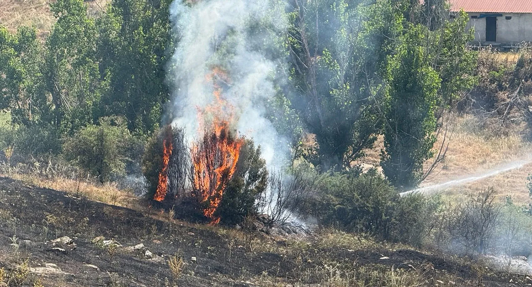 Manisa Kula'da makilik alanda yangın paniği