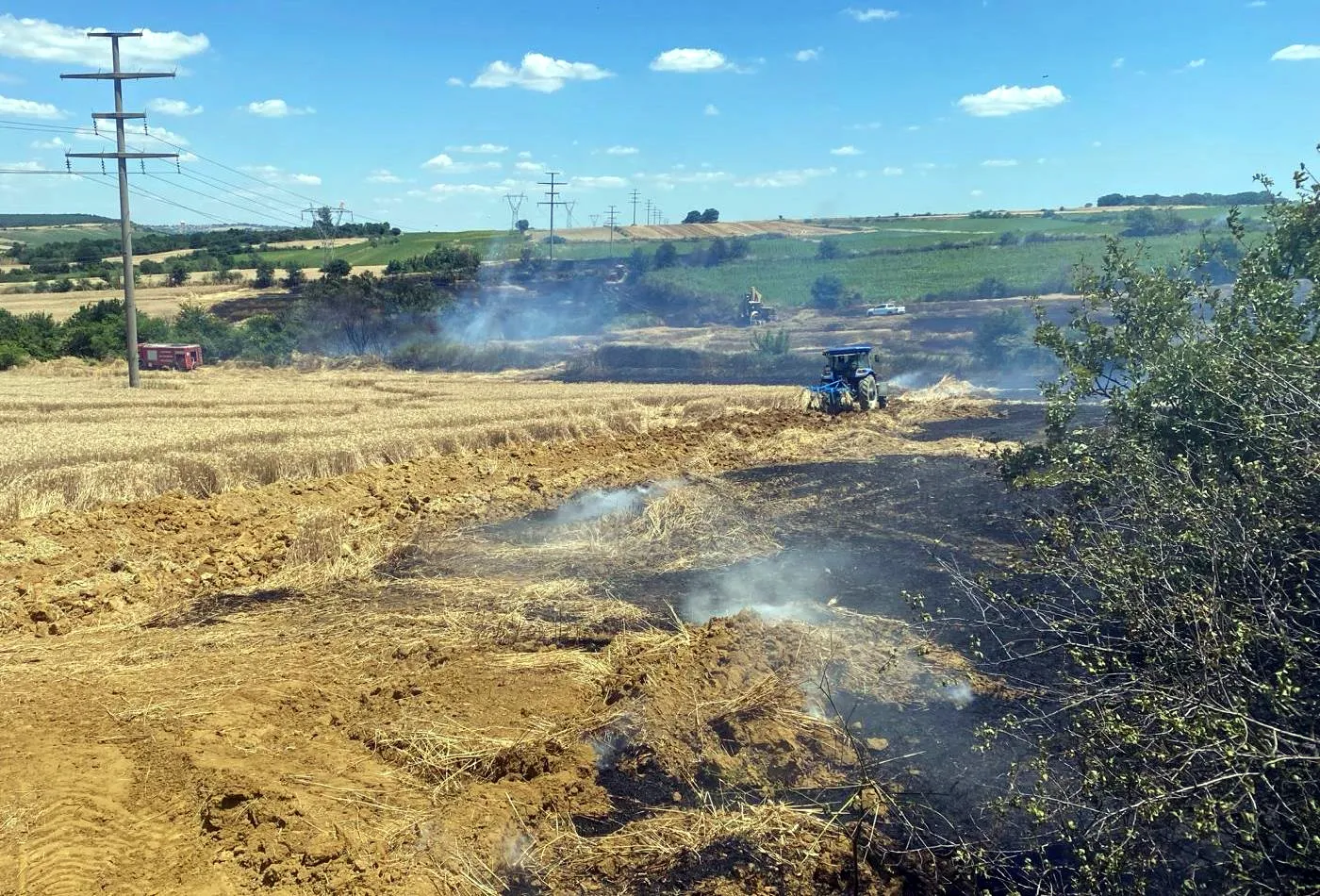 Tekirdağ'da buğday tarlaları kül oldu