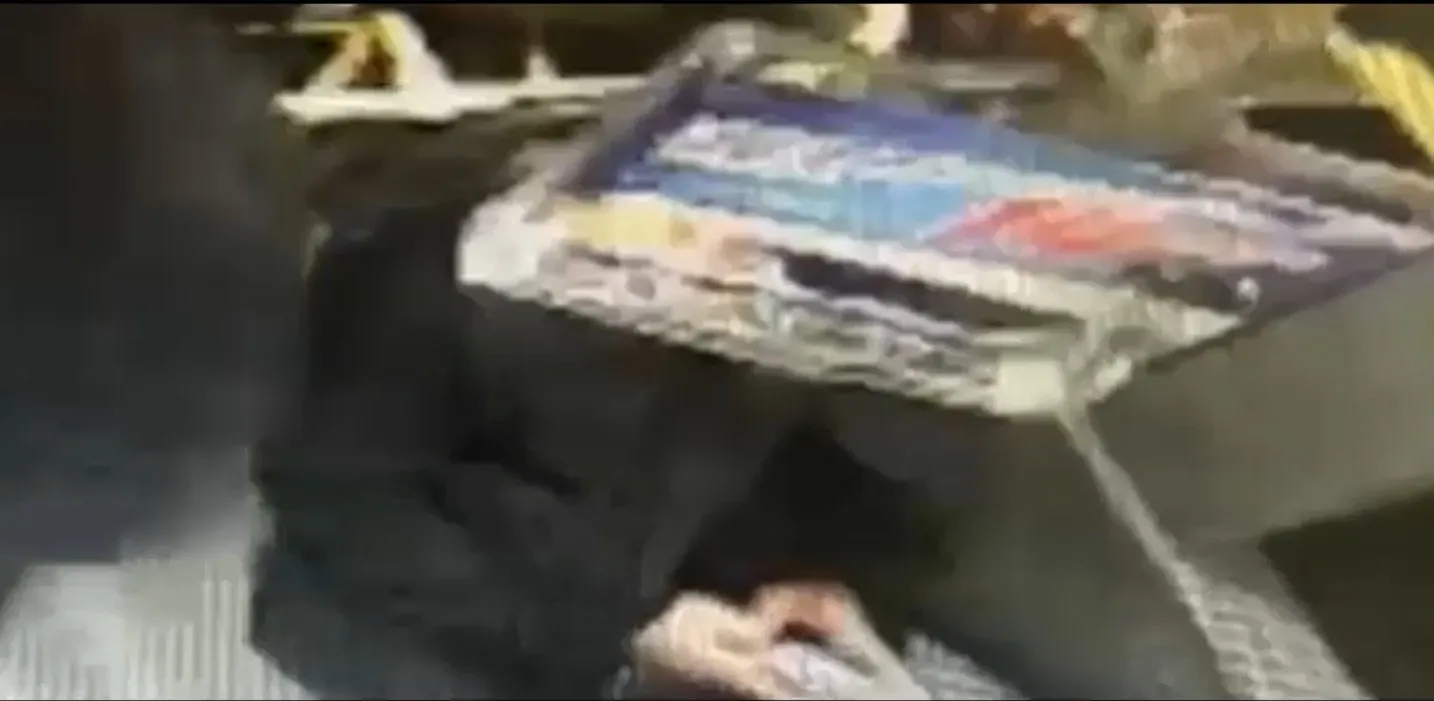 Mezdeke dansçısı cinayetinde yeni detaylar ortaya çıktı
