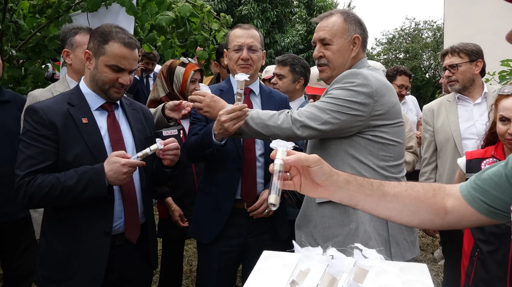 Fındığı kurtarmak için Trabzon bahçelerine samuray arıları bırakıldı