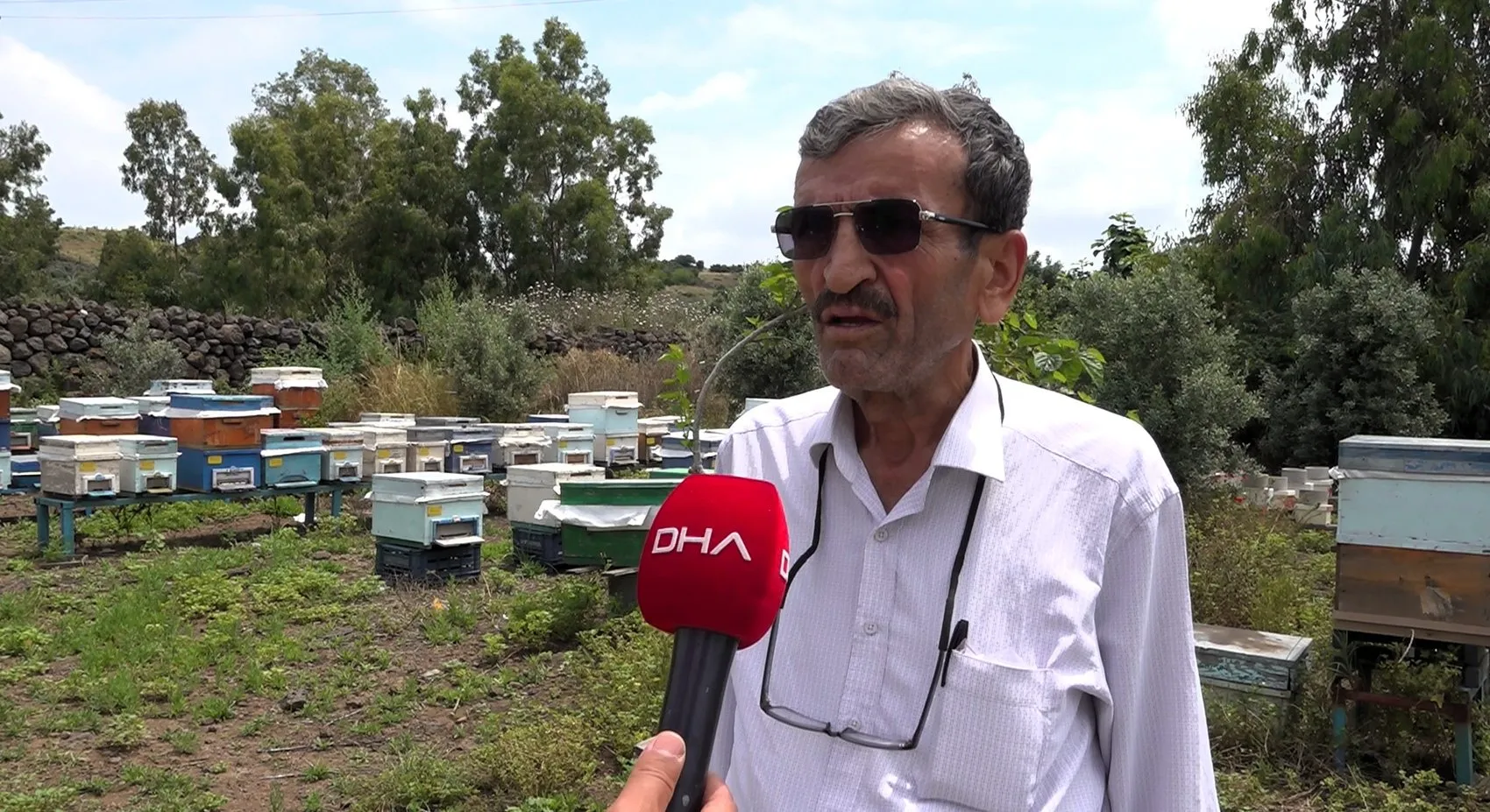 Osmaniyeli arıcılara hayati uyarı Ambar hapı kullanmayın
