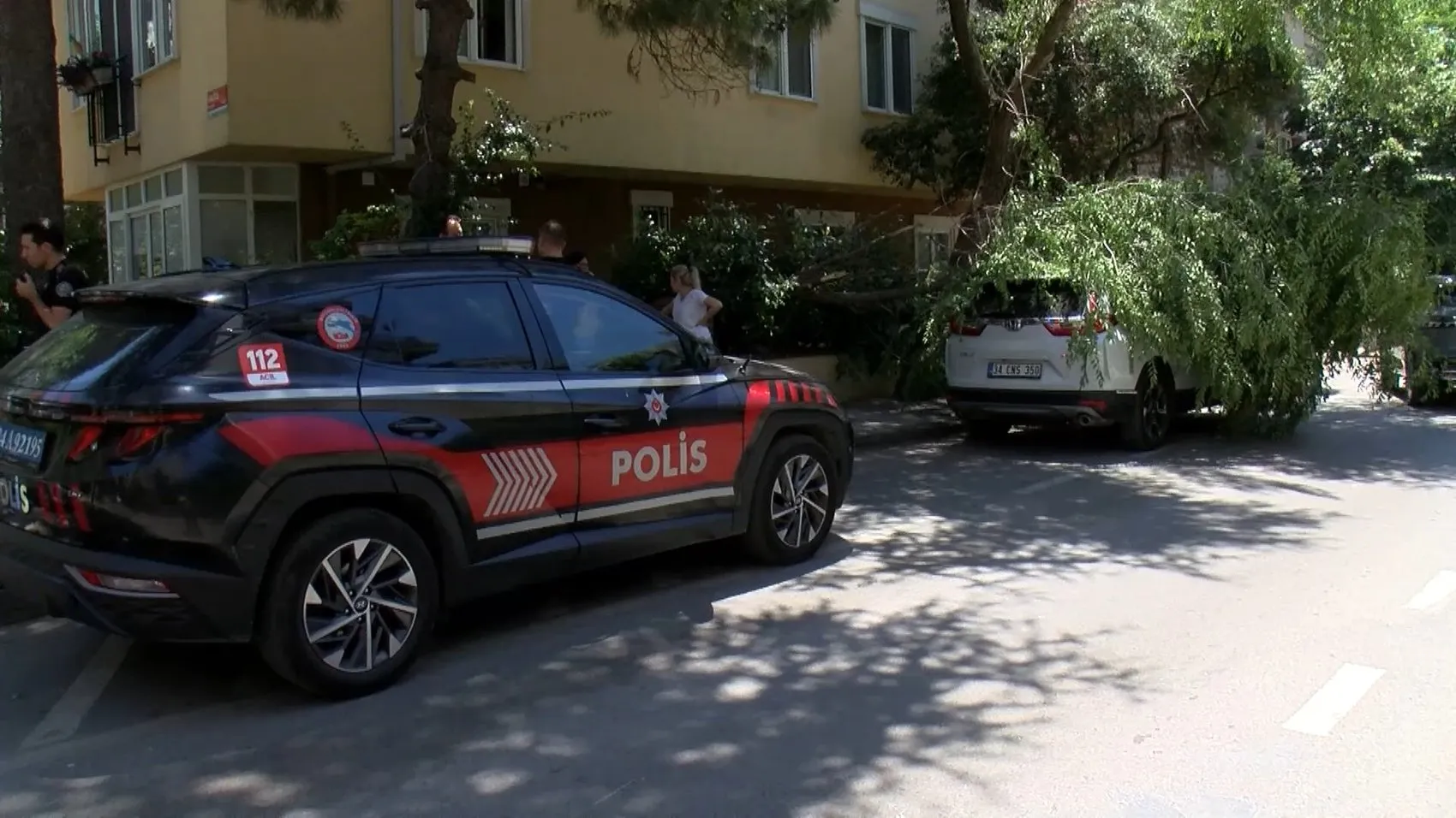 Kozyatağı’nda park halindeki aracın üzerine ağaç dalı devrildi