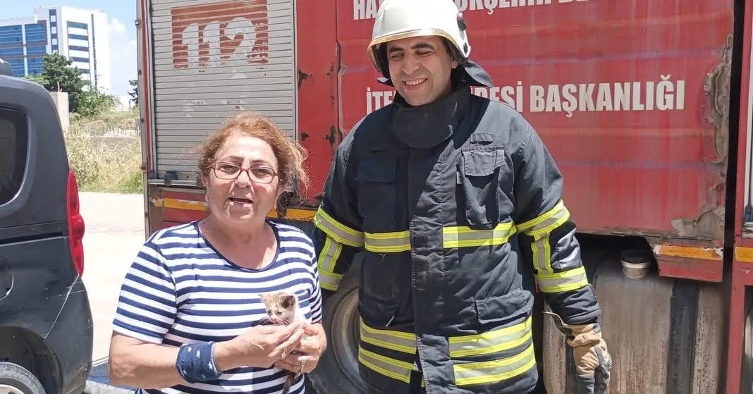 Arsuz’da araç motoruna sıkışan yavru kedi kurtarıldı