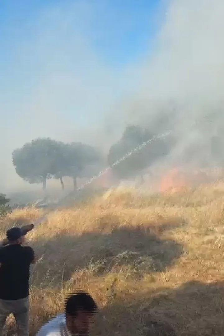 Kağıthane'de otluk alandaki yangın korkuttu