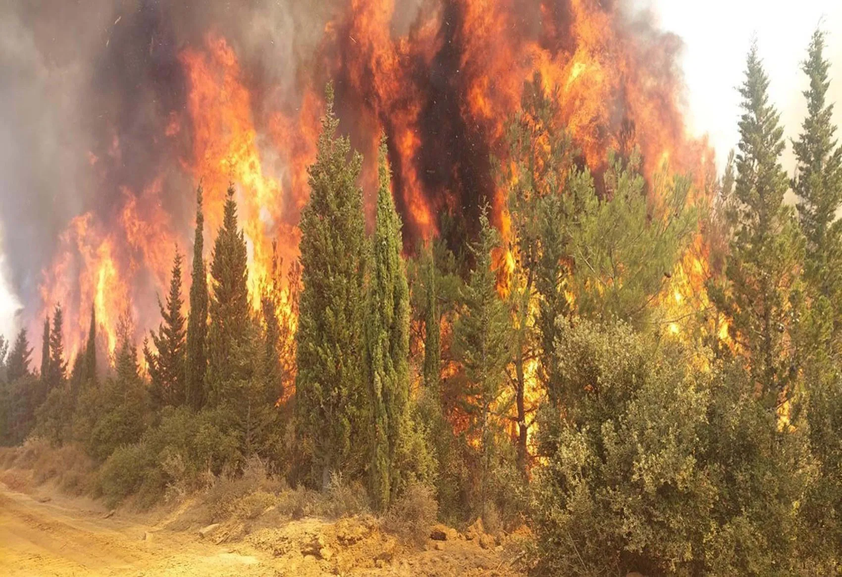 Çanakkale’de orman dışı yangınların maliyeti yarım milyar lirayı aştı