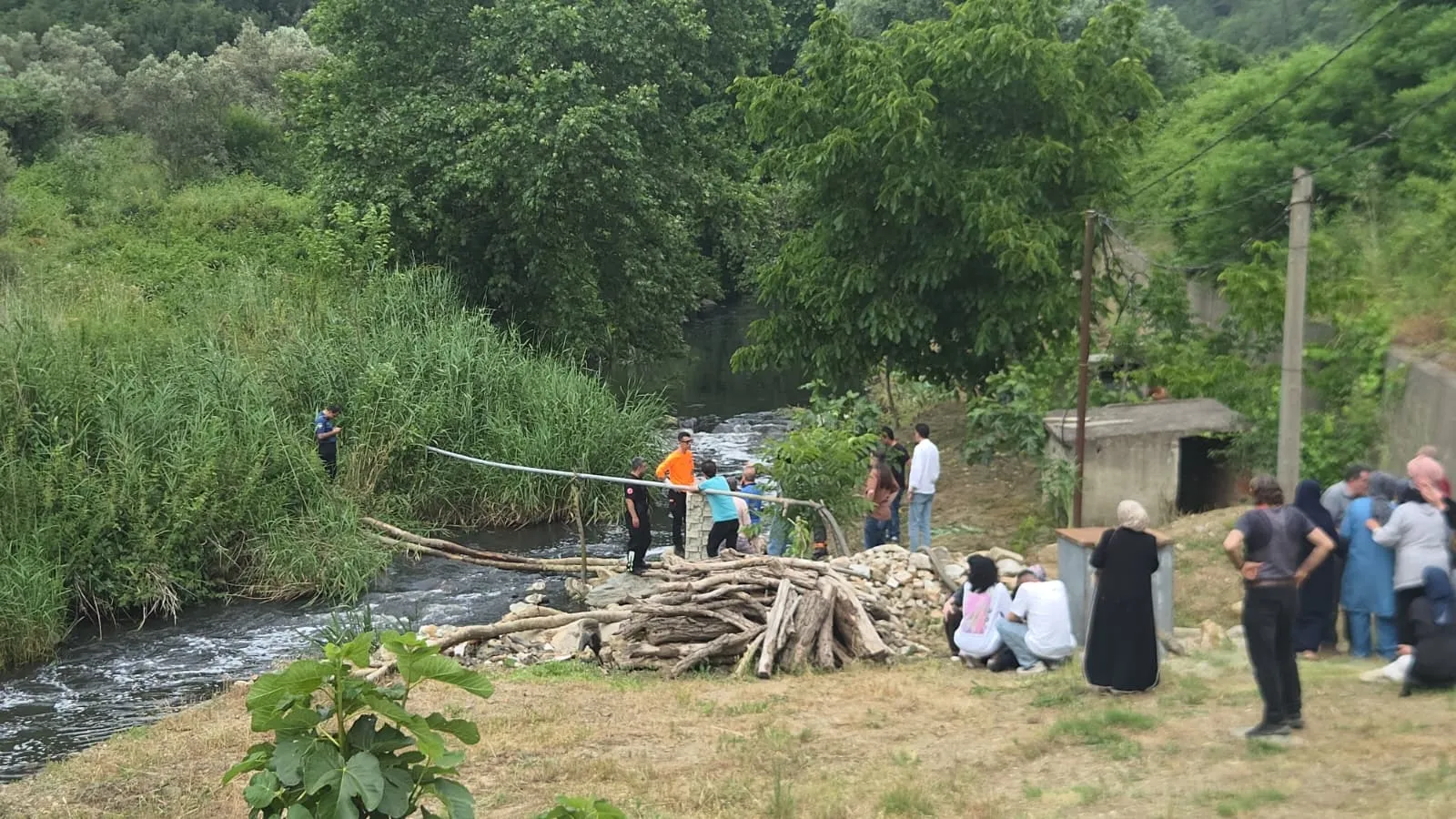 Bursa'da dut toplamaya çıkan yaşlı adamdan acı haber geldi