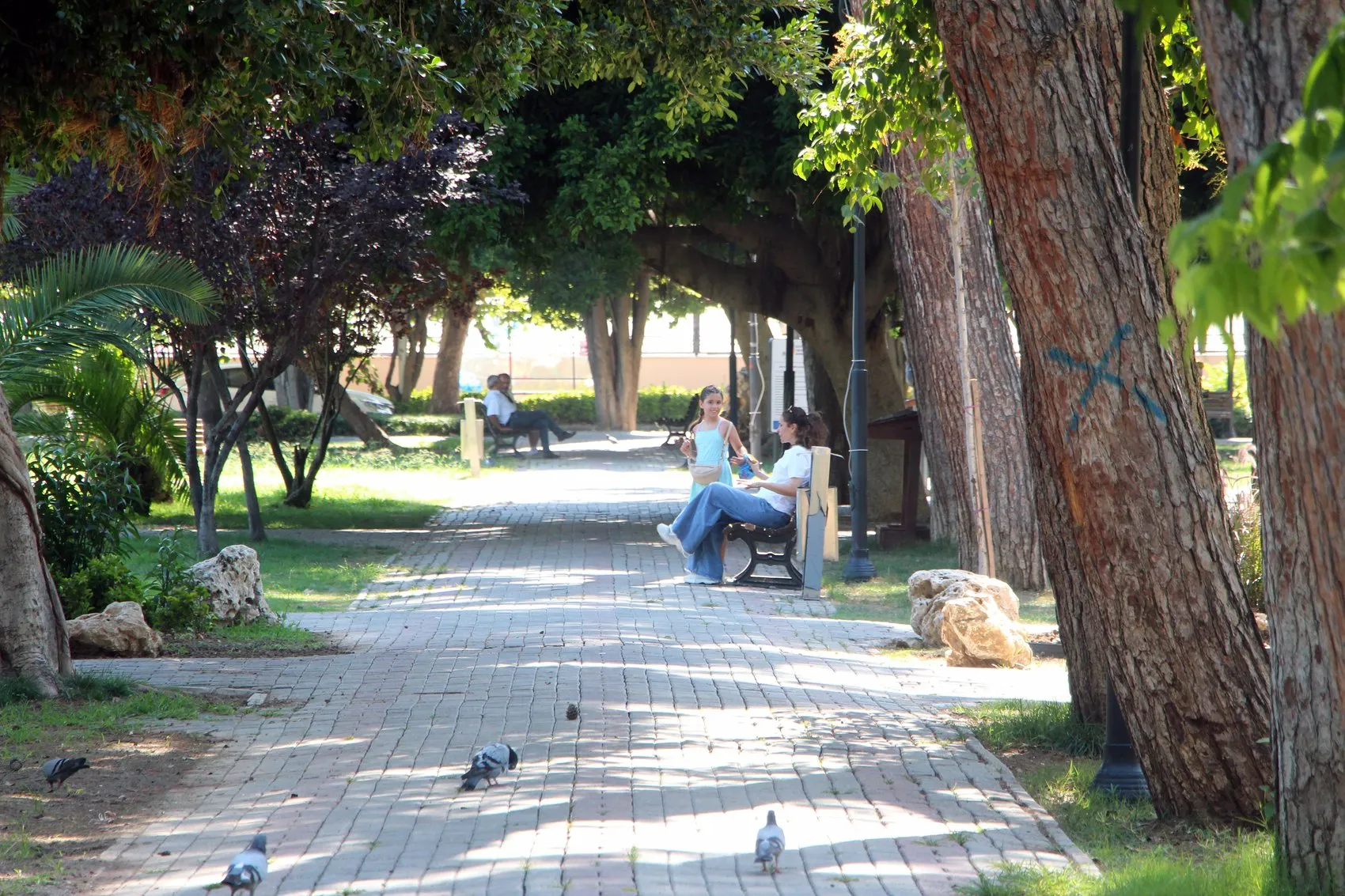 Adana sokakları kavurucu sıcak nedeniyle hayalet şehre döndü