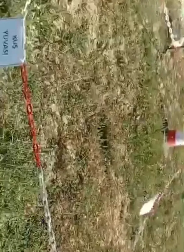 İnşaat sahasında beklenmedik misafirler için özel güvenlik önlemi