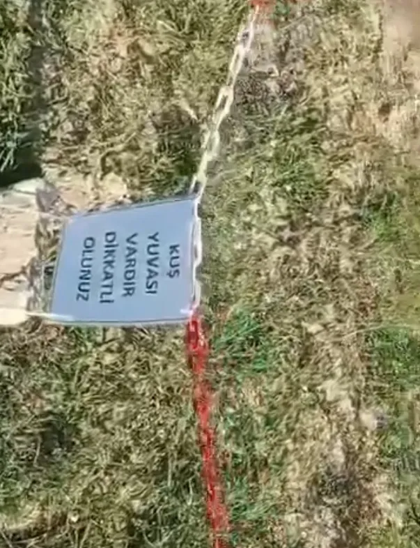 İnşaat sahasında beklenmedik misafirler için özel güvenlik önlemi